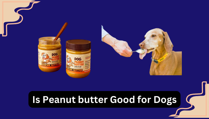 Is Peanut Butter Good for Dogs?