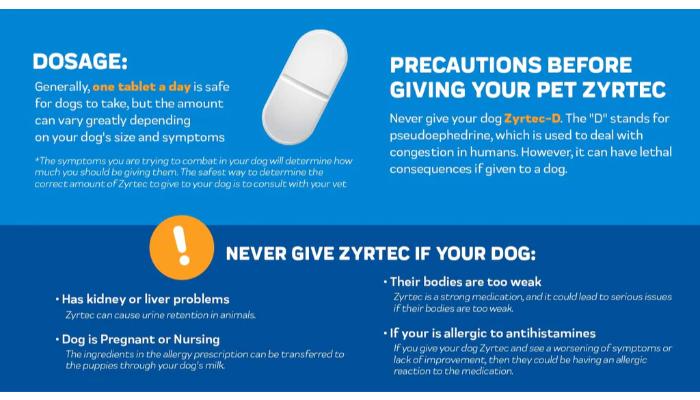 Zyrtec for dogs