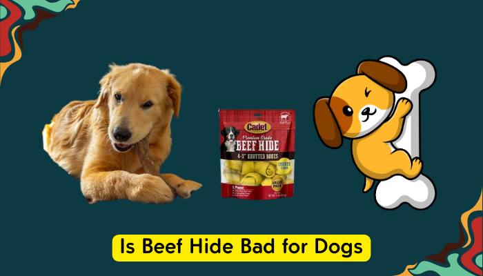 Is Beef Hide Bad for Dogs