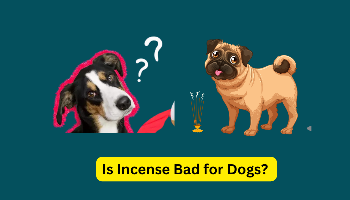 Is Incense Bad for Dogs