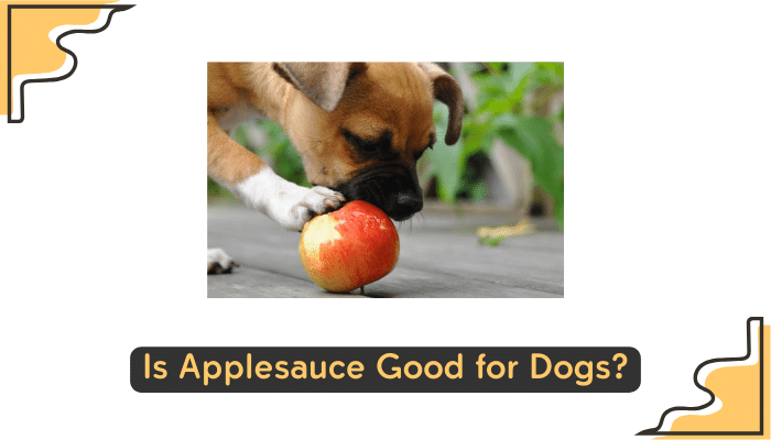 applesauce safe for dogs